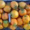помидоры в Тюмени 7