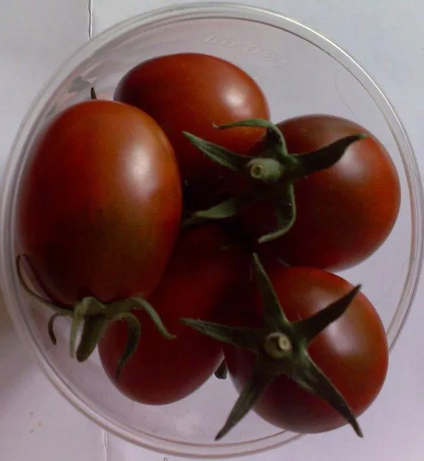 помидоры в Тюмени 3
