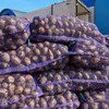 картофель оптом от производителя 7р в Тюмени